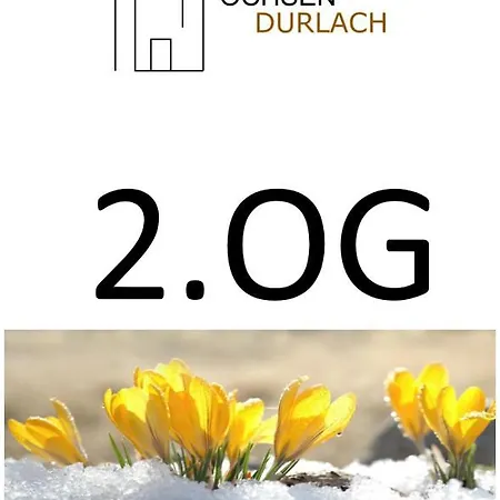 Lejlighed Ochsen-durlach *