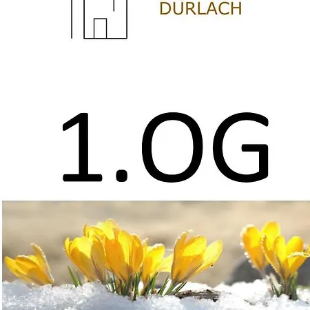 Ochsen-durlach * Karlsruhe